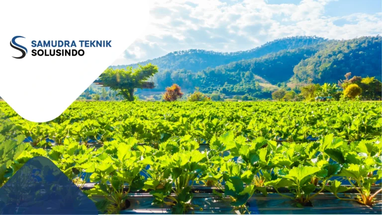 Manfaat Penggunaan Sensor Kelembaban Tanah untuk Berbagai Kebutuhan