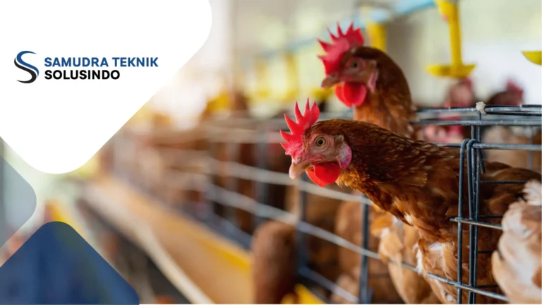 Mengapa Data Logger Penting untuk Pemantauan Lingkungan di Peternakan?