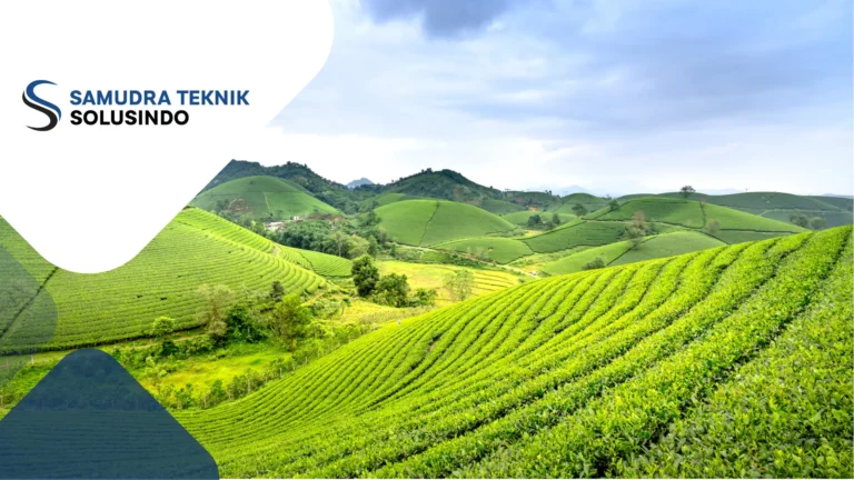 Peran Weather Station dalam Meningkatkan Produktivitas Pertanian