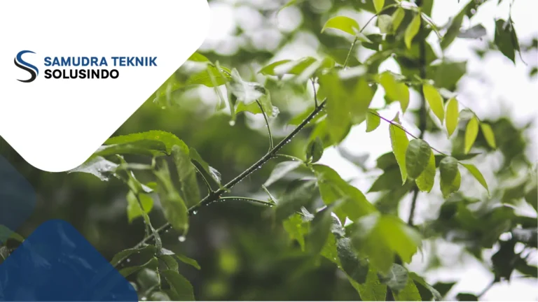 Rain Gauge dan Perannya sebagai Alat Pengukur Curah Hujan