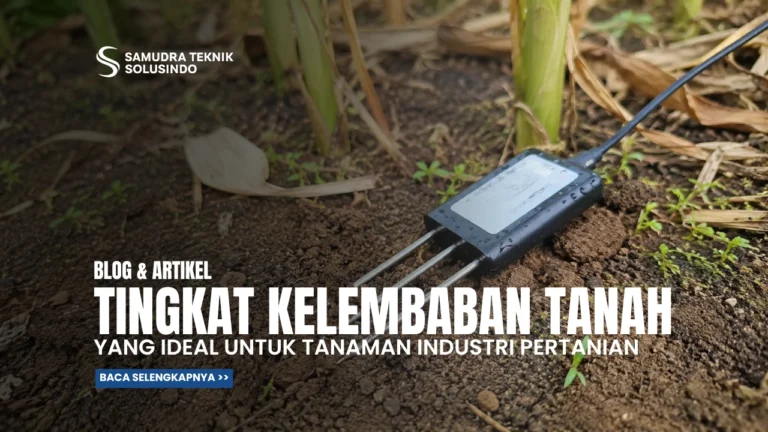 Berapa Tingkat Kelembaban Tanah yang Ideal untuk Tanaman?